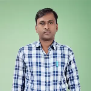 Mr. Ramjee Kumar's BAAN Profile