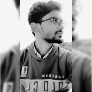 Mr. Kamlesh Kumar's BAAN Profile