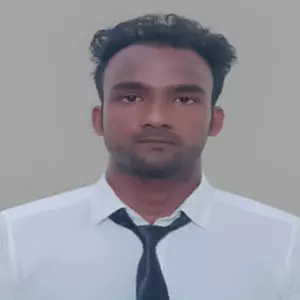 Mr. Alok Kumar's BAAN Profile